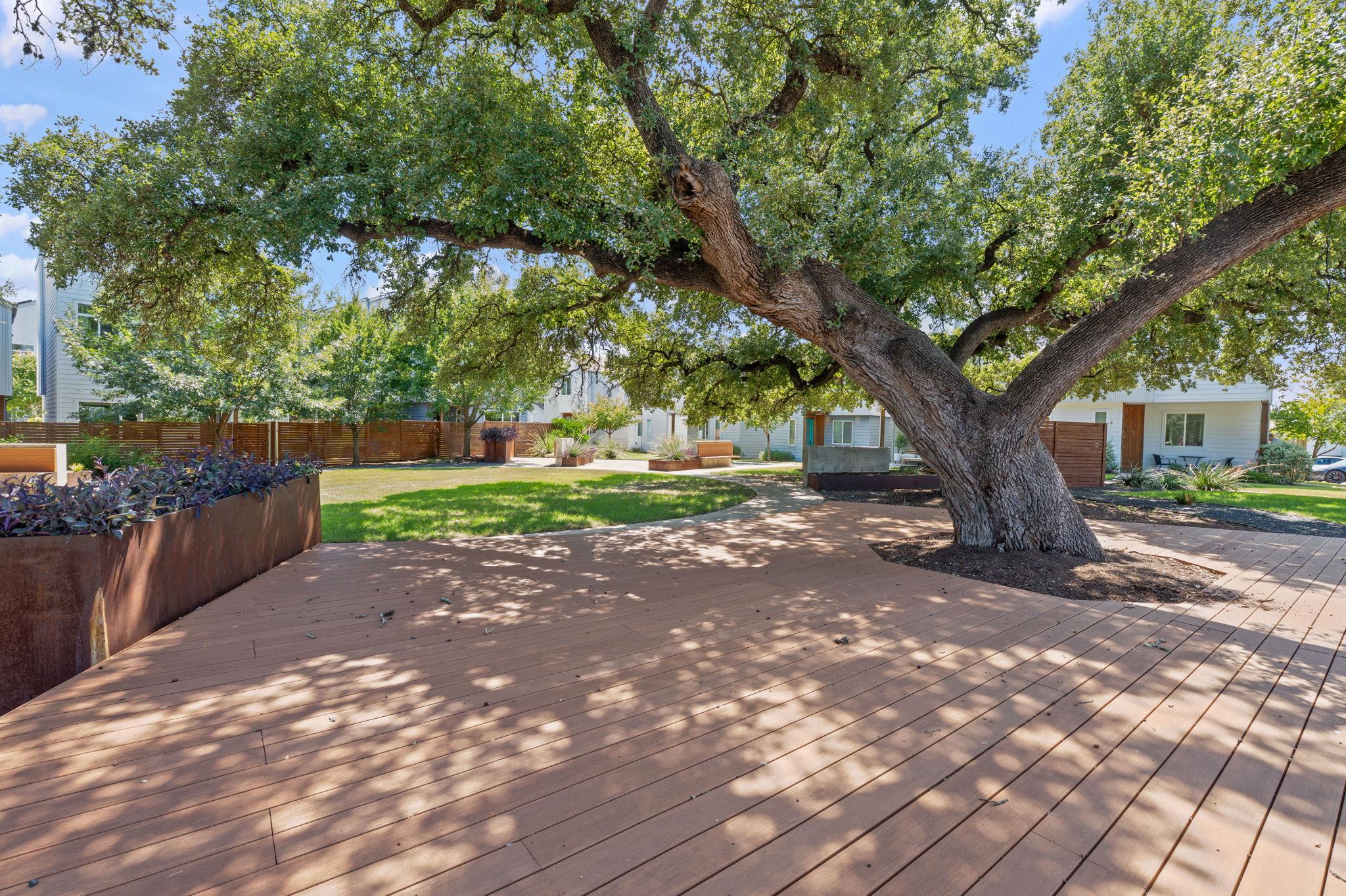 801 N Bluff Dr # 59, Austin, TX 78745