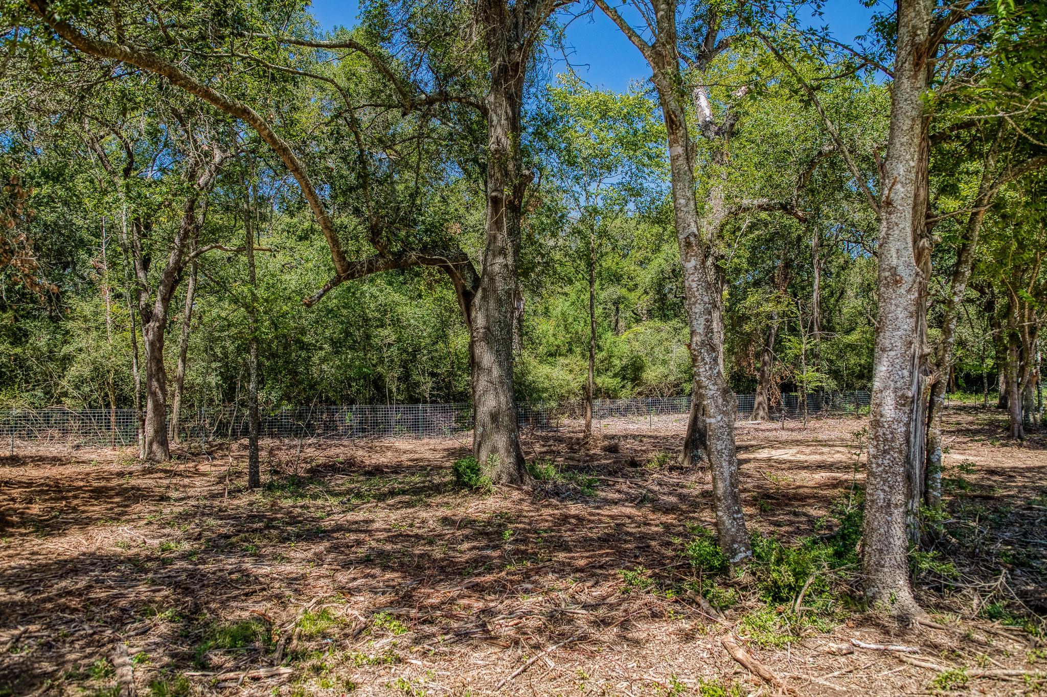 1922 County Road 324, Caldwell, TX 77836