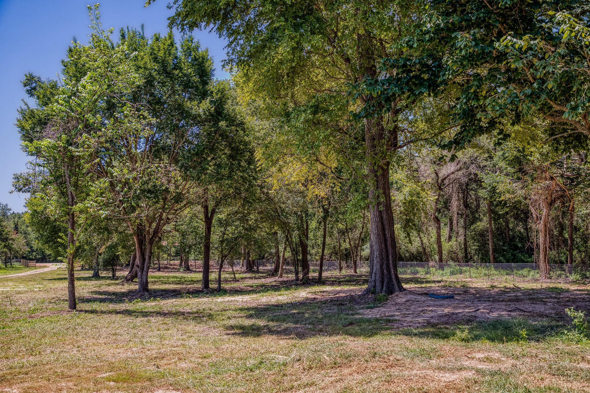 1922 County Road 324, Caldwell, TX 77836