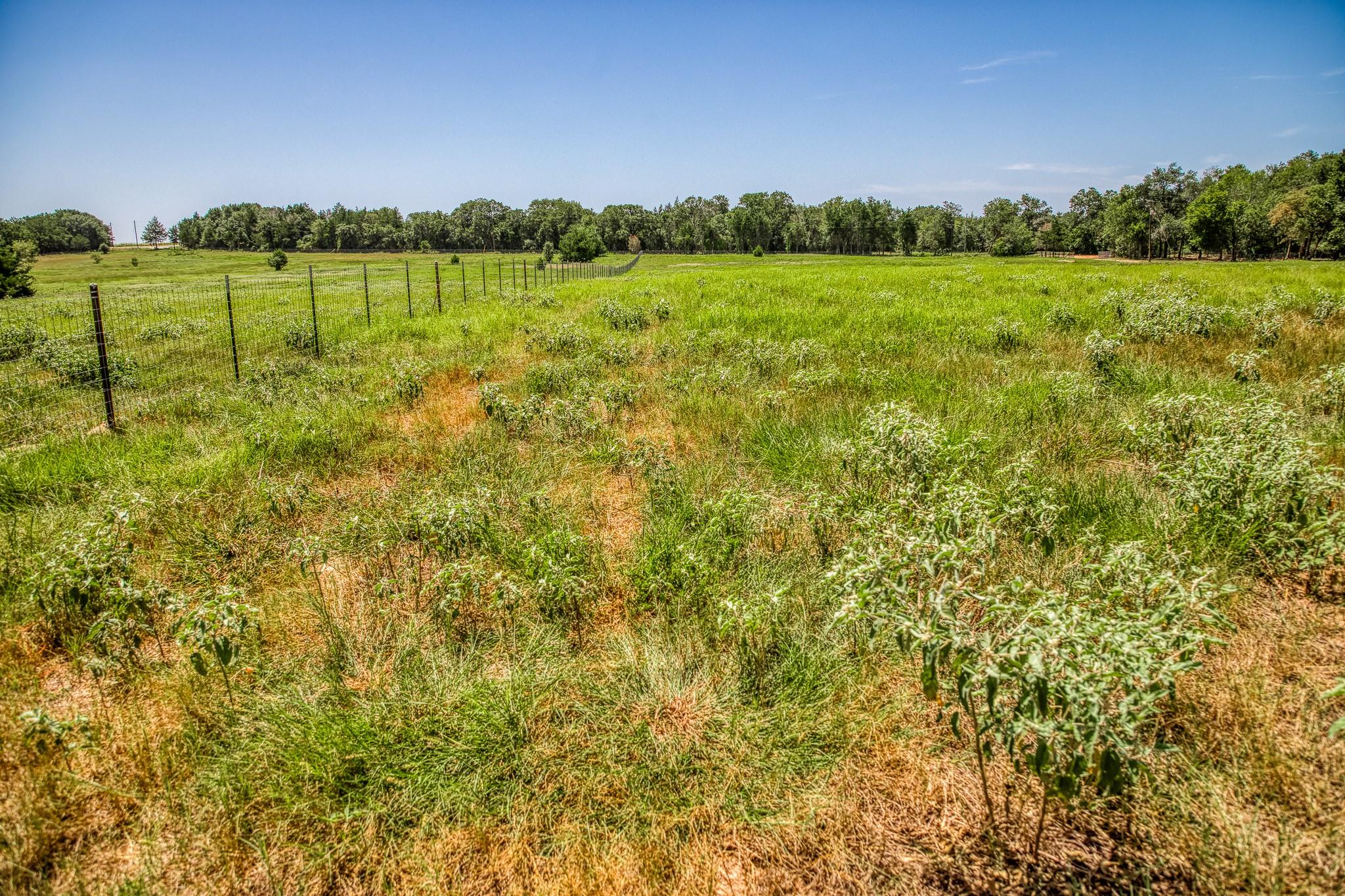 1922 County Road 324, Caldwell, TX 77836