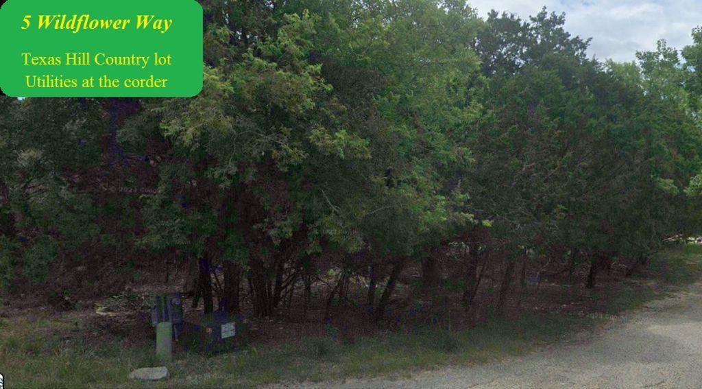 5 Wildflower Way, Wimberley, TX 78676