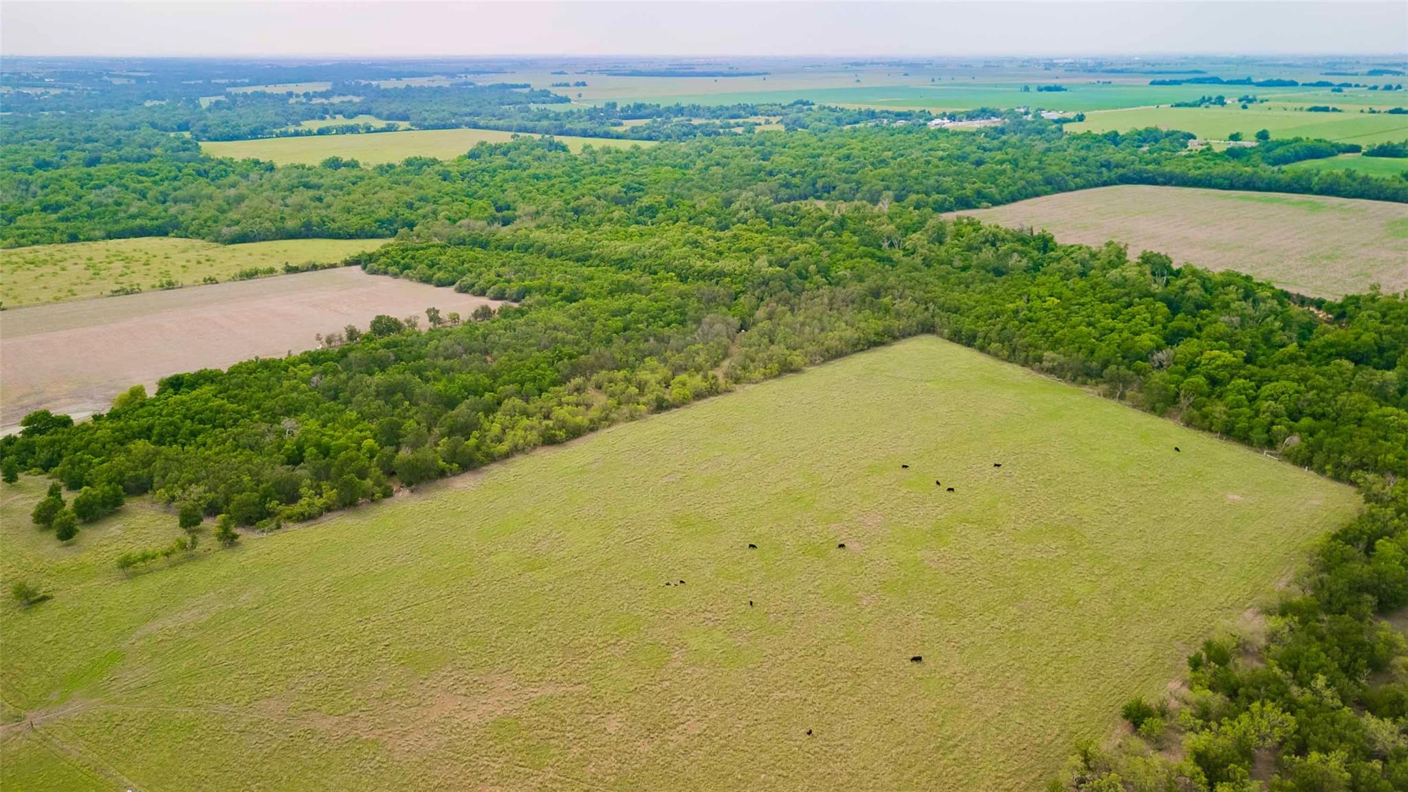 20145 Janak Rd, Coupland, TX 78615
