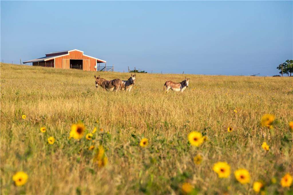 20145 Janak Rd, Coupland, TX 78615