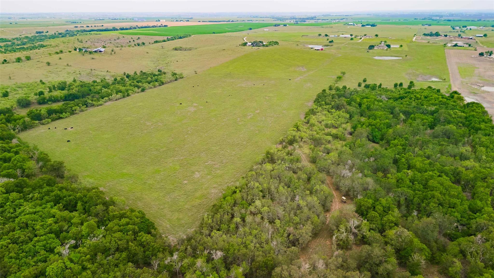 20145 Janak Rd, Coupland, TX 78615