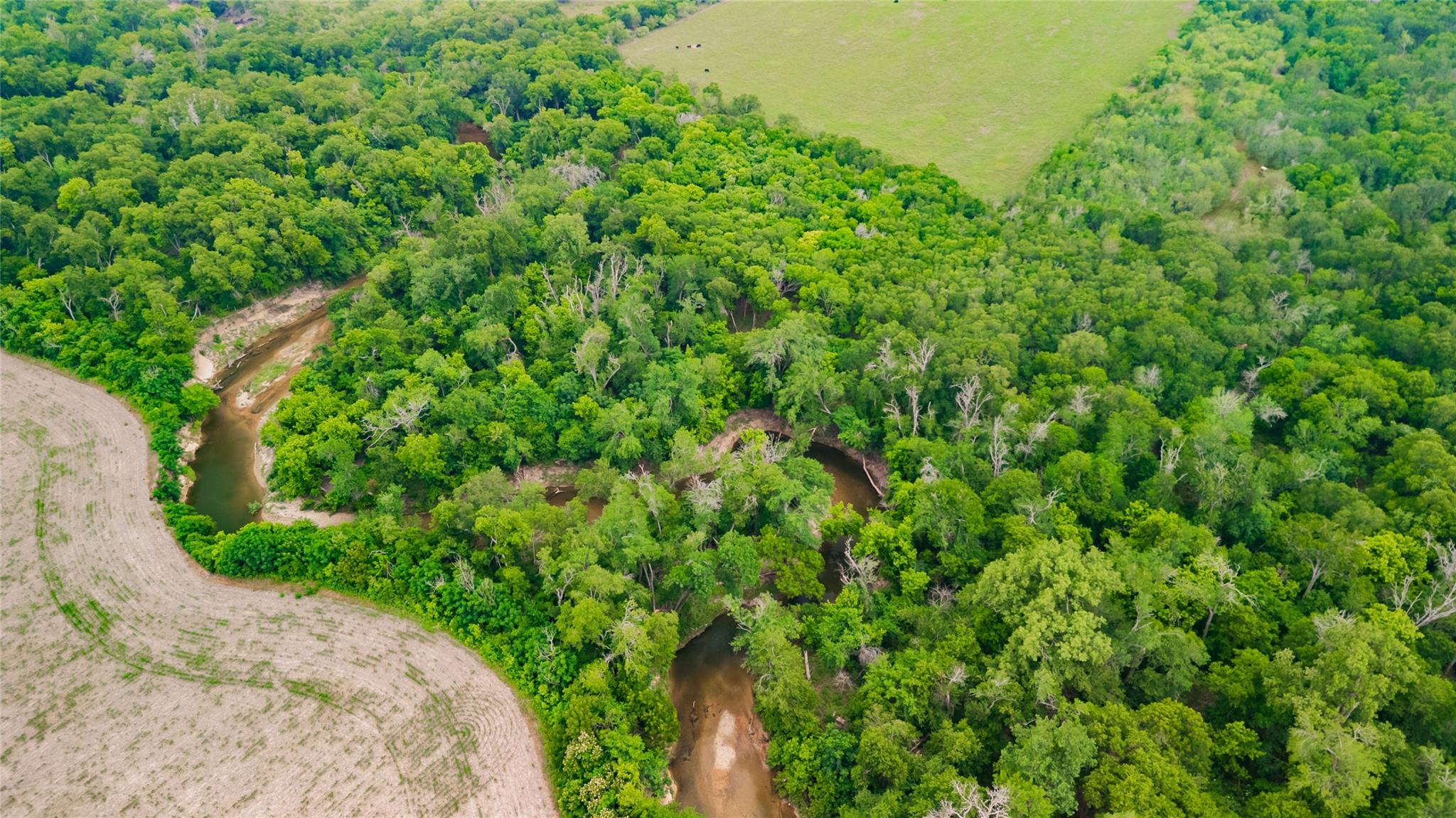 20145 Janak Rd, Coupland, TX 78615