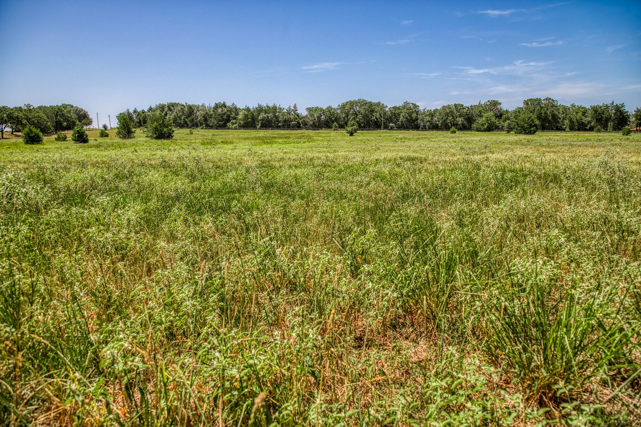 1431 County Road 112, Caldwell, TX 77836