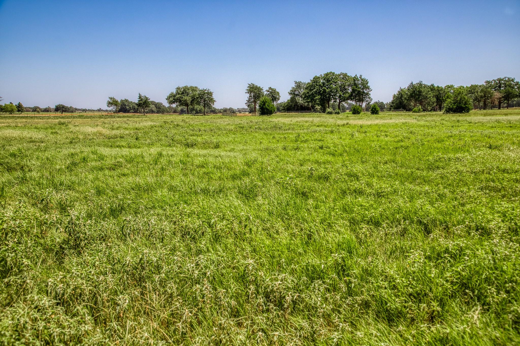 1431 County Road 112, Caldwell, TX 77836