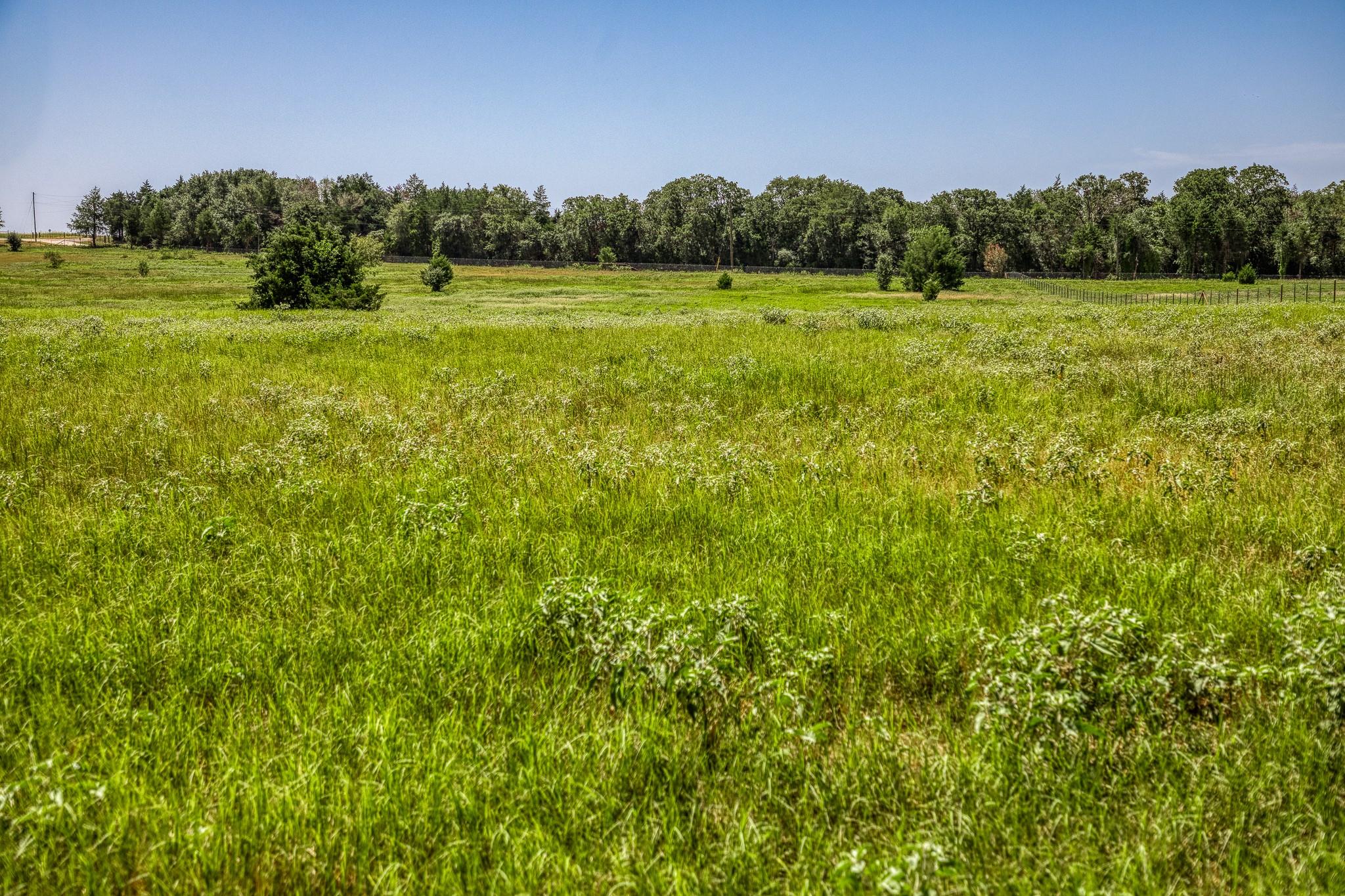 1431 County Road 112, Caldwell, TX 77836