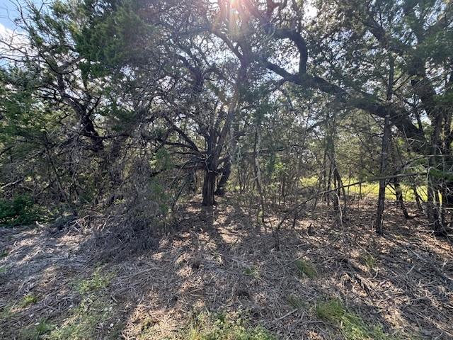 Lot 23 Rifle Ridge, Burnet, TX 78611