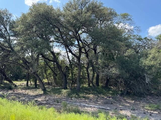 Lot 23 Rifle Ridge, Burnet, TX 78611
