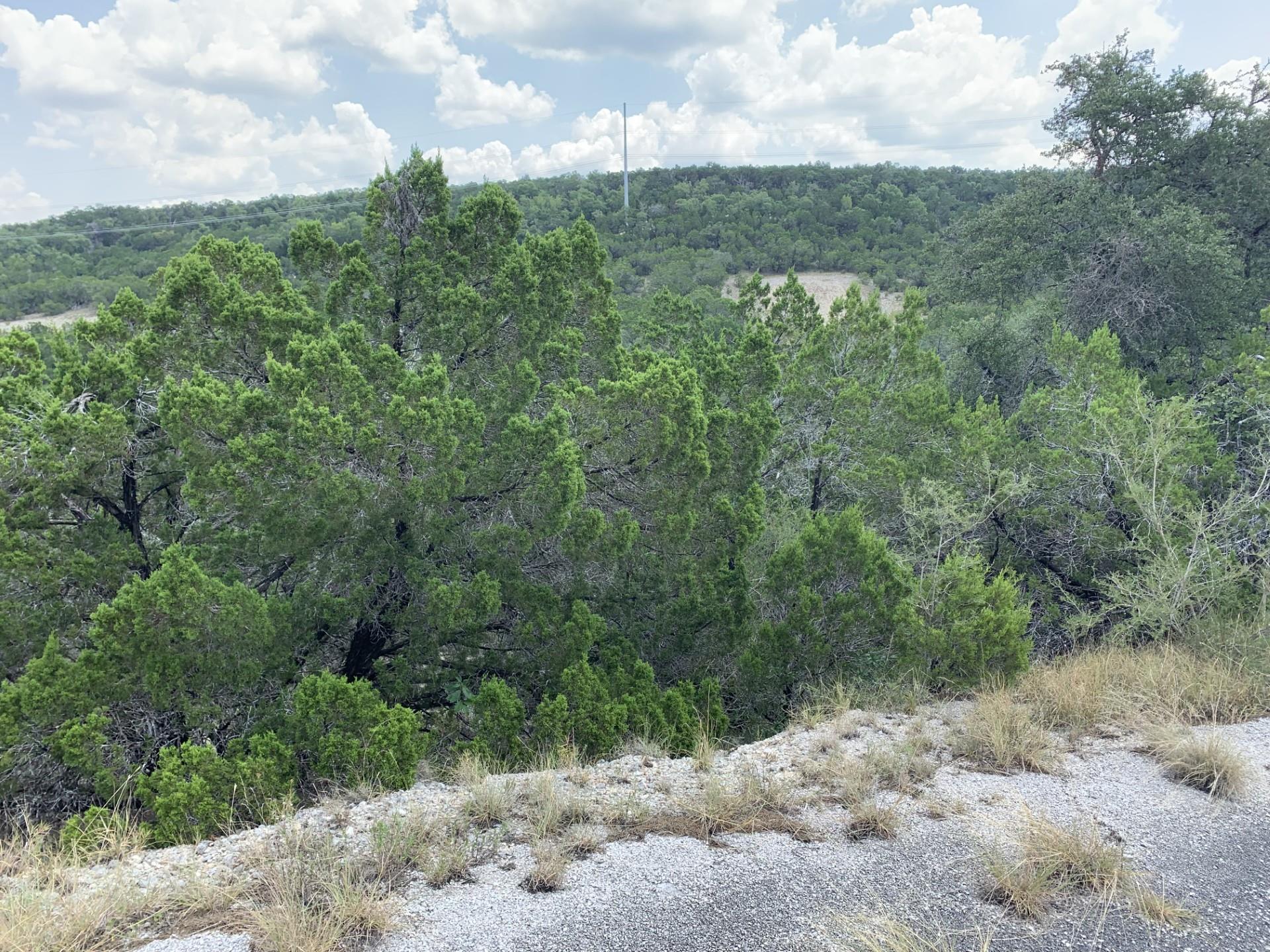 8607 Teton Pass, Lago Vista, TX 78645