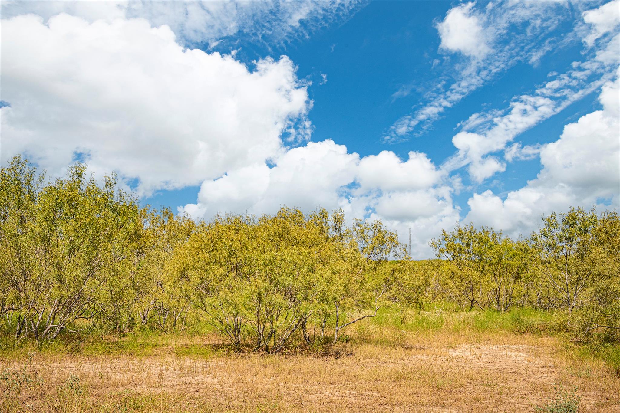 135 Spanish Oak Rd, Dale, TX 78616