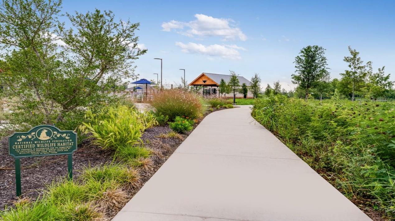 1429 Alana Falls Ave, Pflugerville, TX 78660