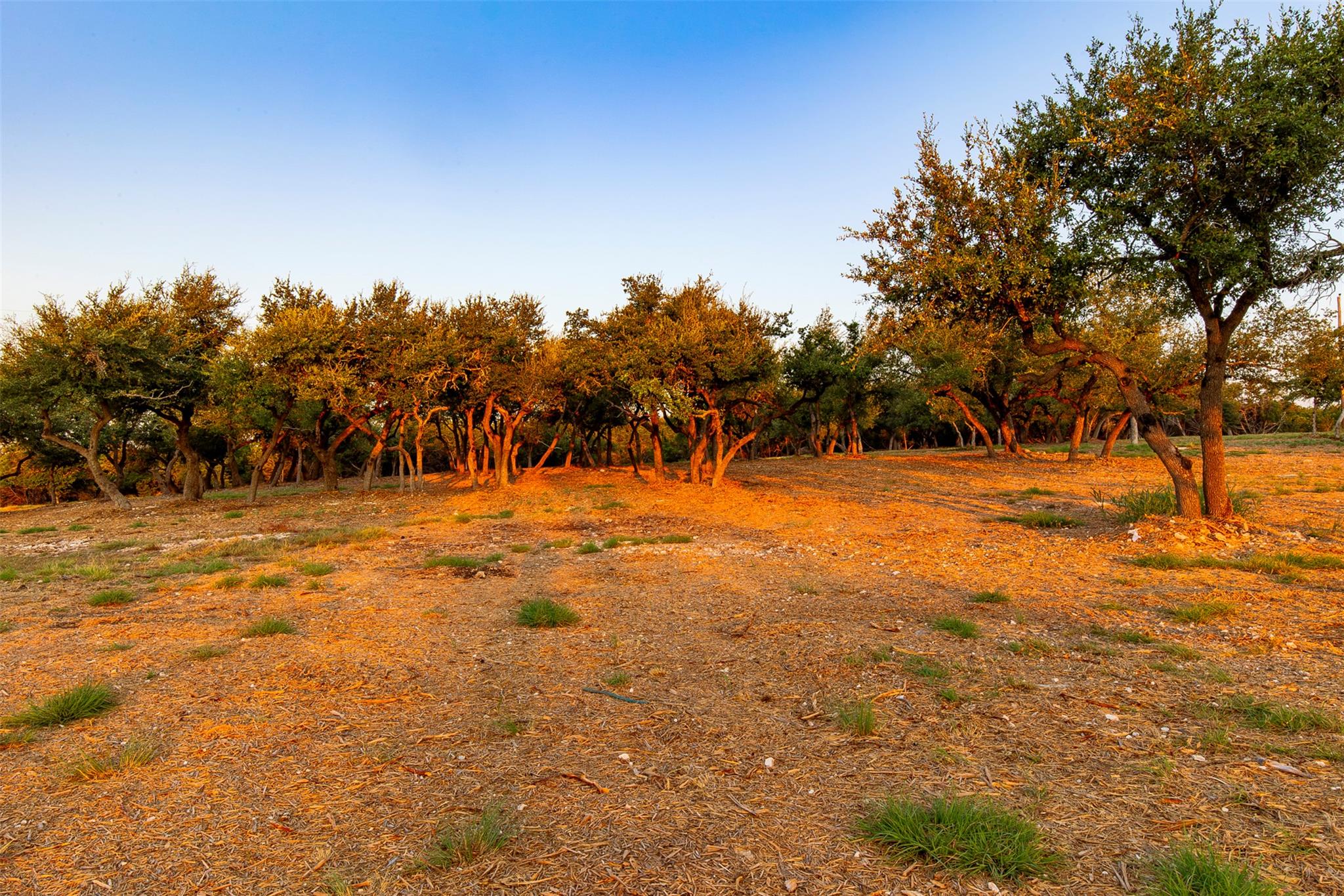 20105 W Lake Pkwy, Georgetown, TX 78628