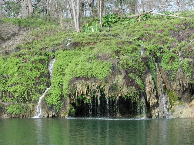 20105 W Lake Pkwy, Georgetown, TX 78628