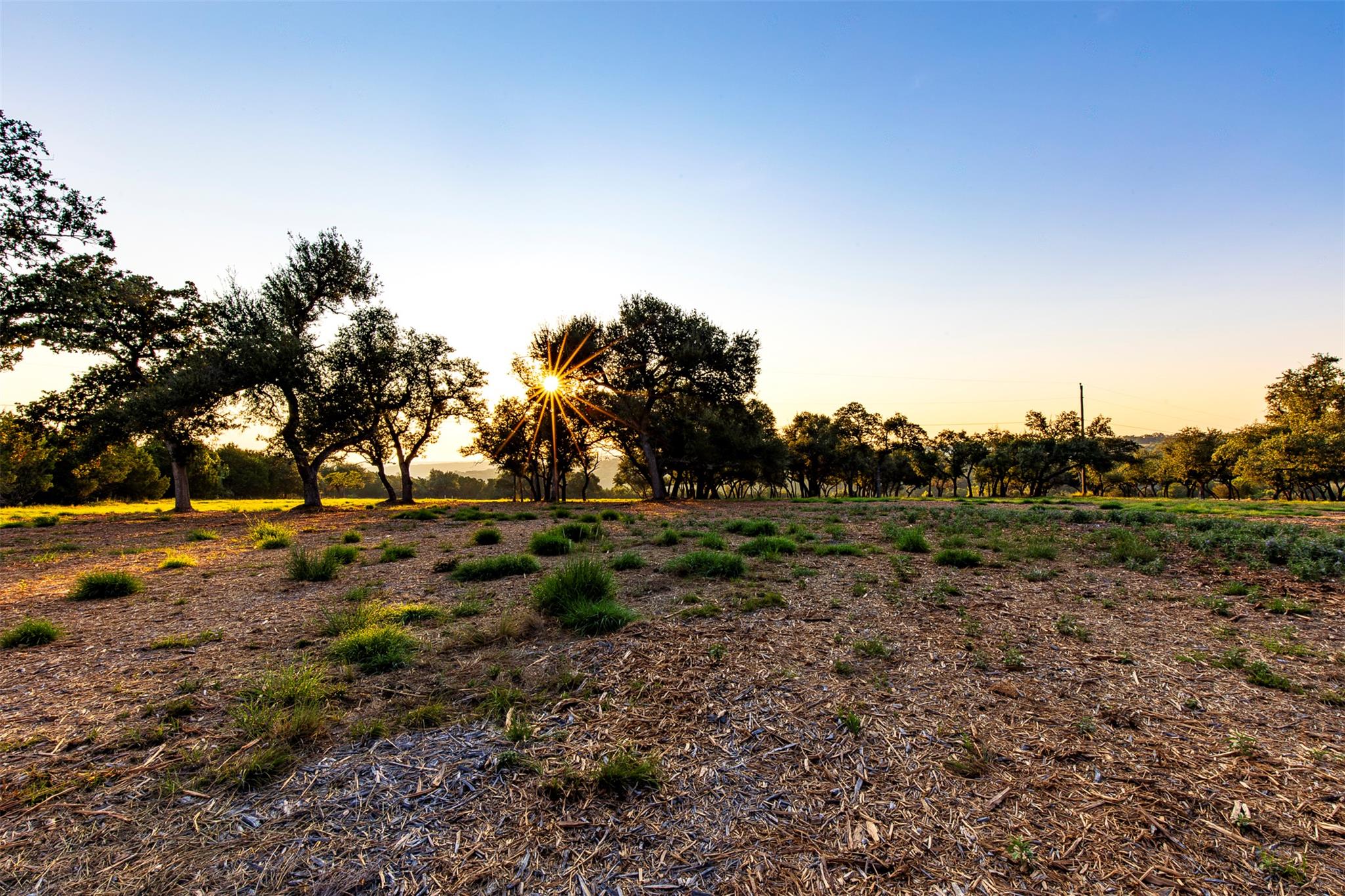 20105 W Lake Pkwy, Georgetown, TX 78628