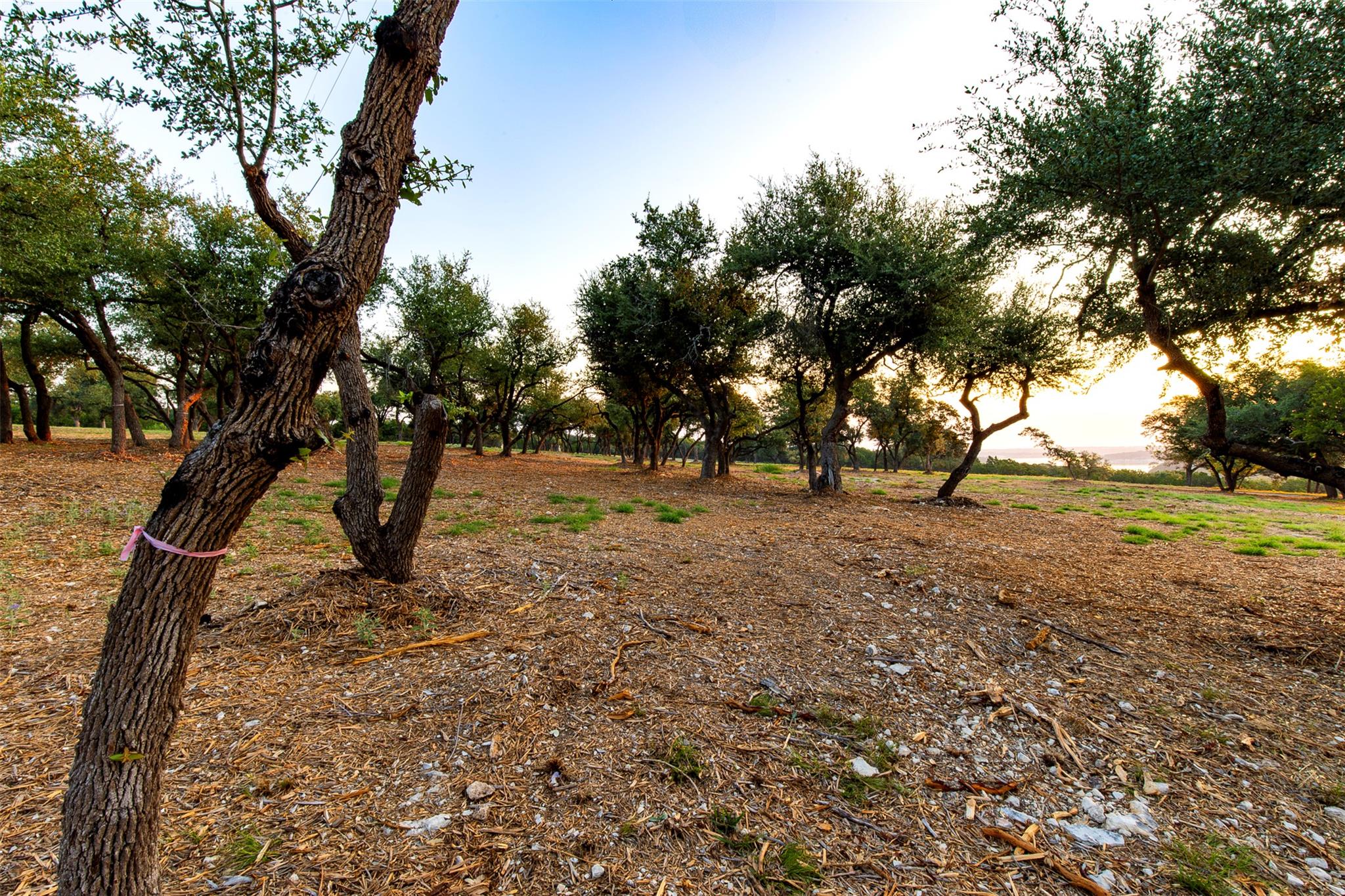 20105 W Lake Pkwy, Georgetown, TX 78628