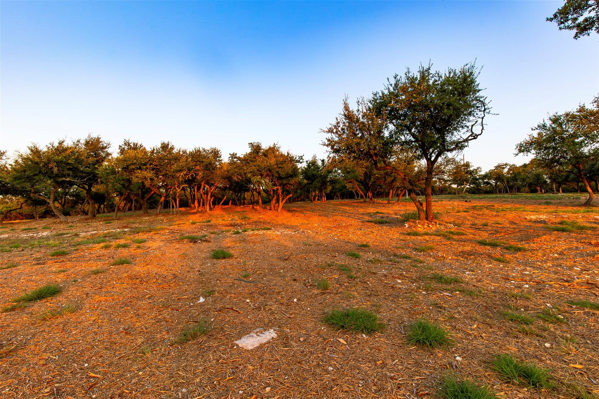 20105 W Lake Pkwy, Georgetown, TX 78628