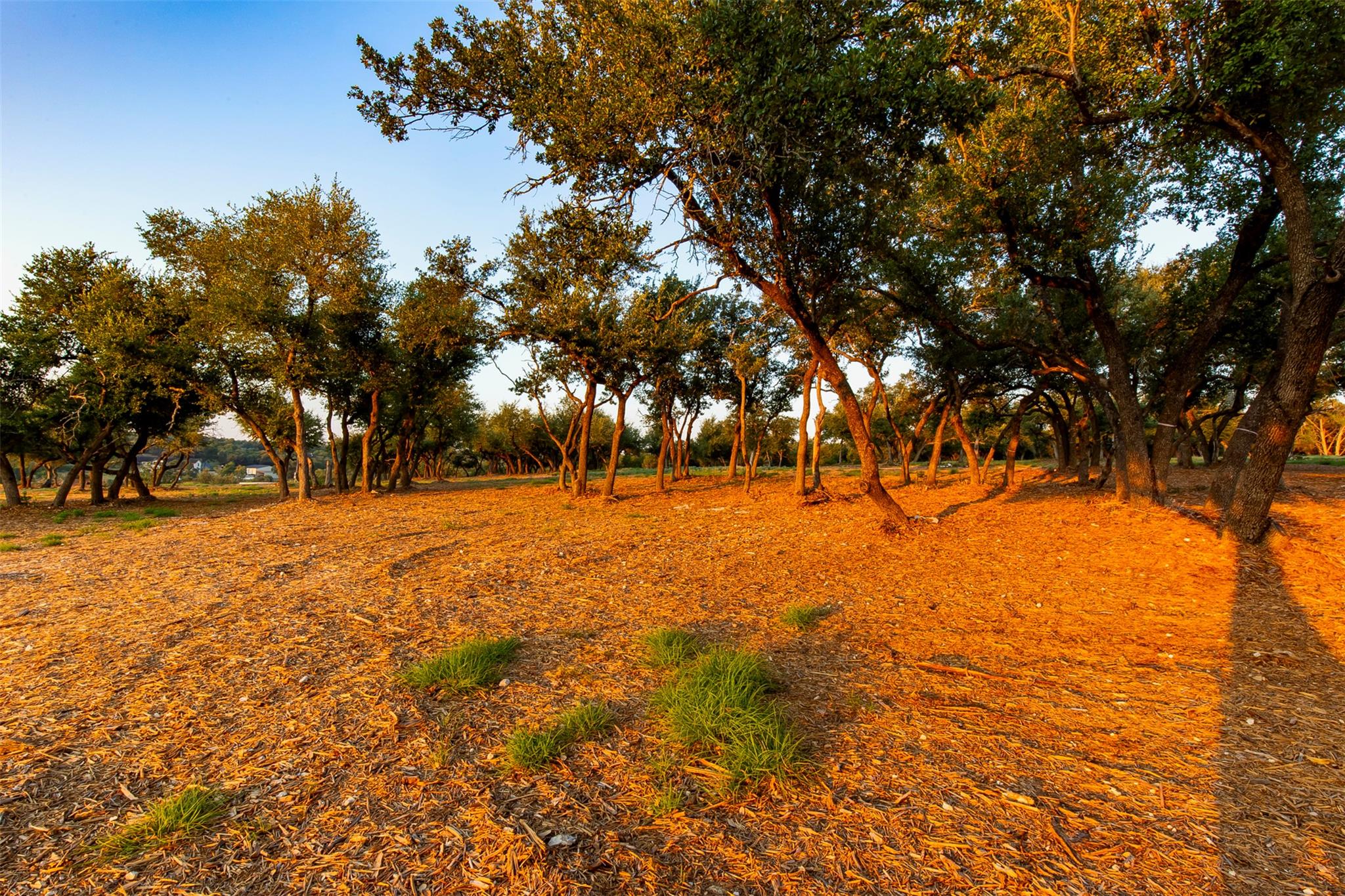 20105 W Lake Pkwy, Georgetown, TX 78628