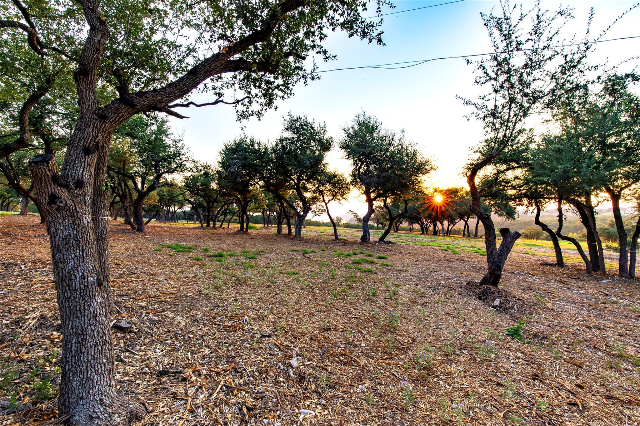 20105 W Lake Pkwy, Georgetown, TX 78628