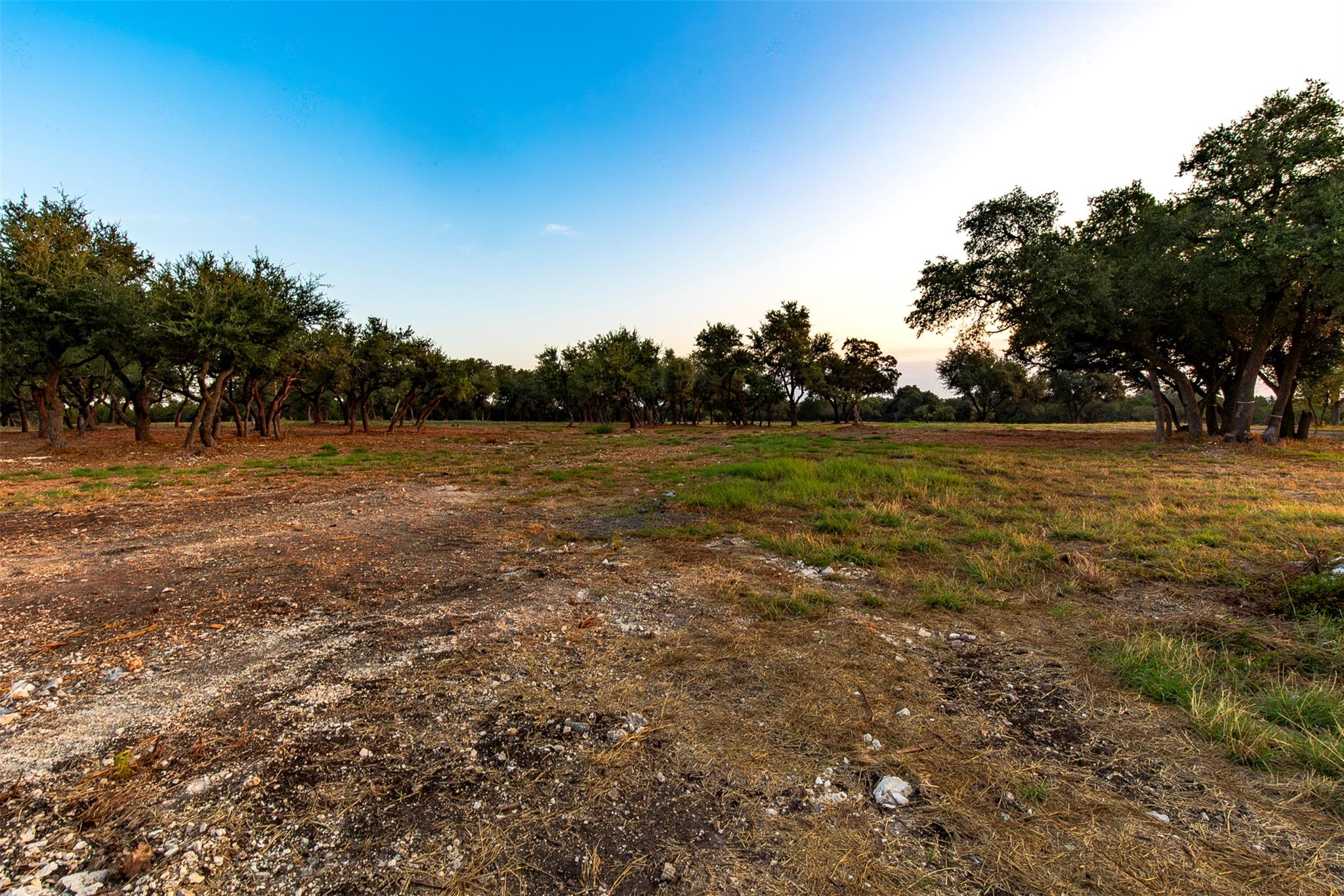 20105 W Lake Pkwy, Georgetown, TX 78628