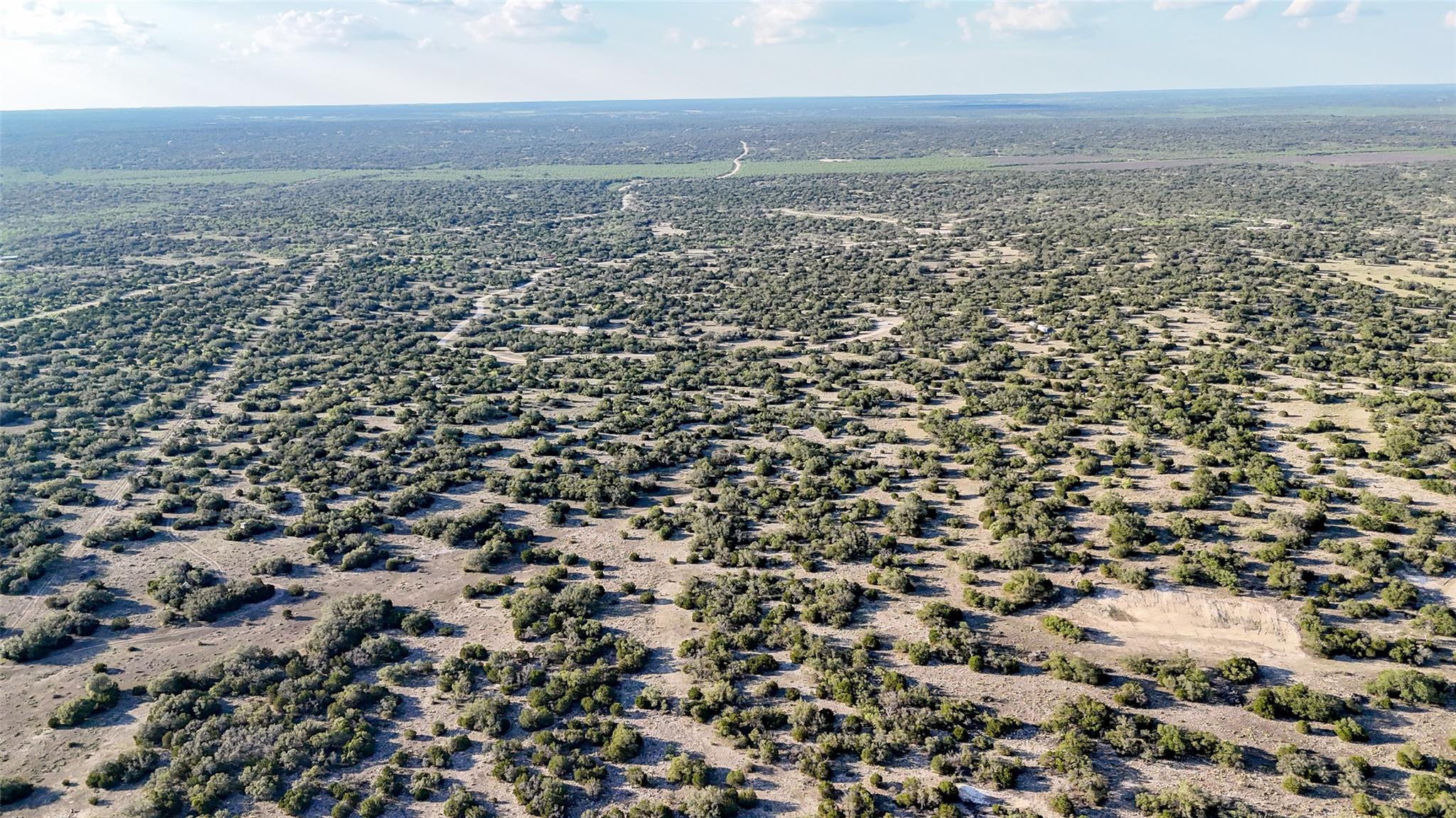 1595 Blackbuck Dr E, Eldorado, TX 76935