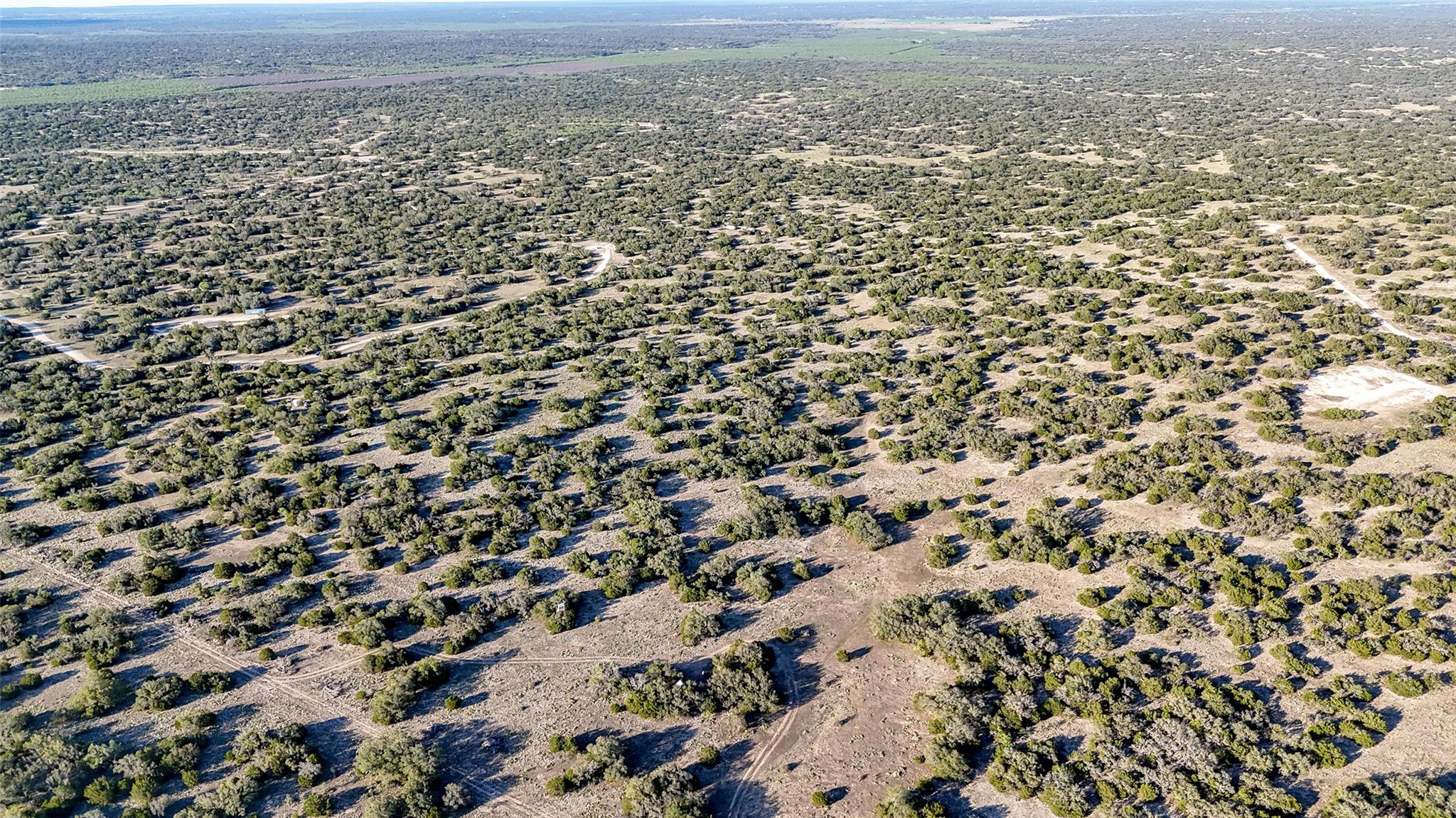 1595 Blackbuck Dr E, Eldorado, TX 76935