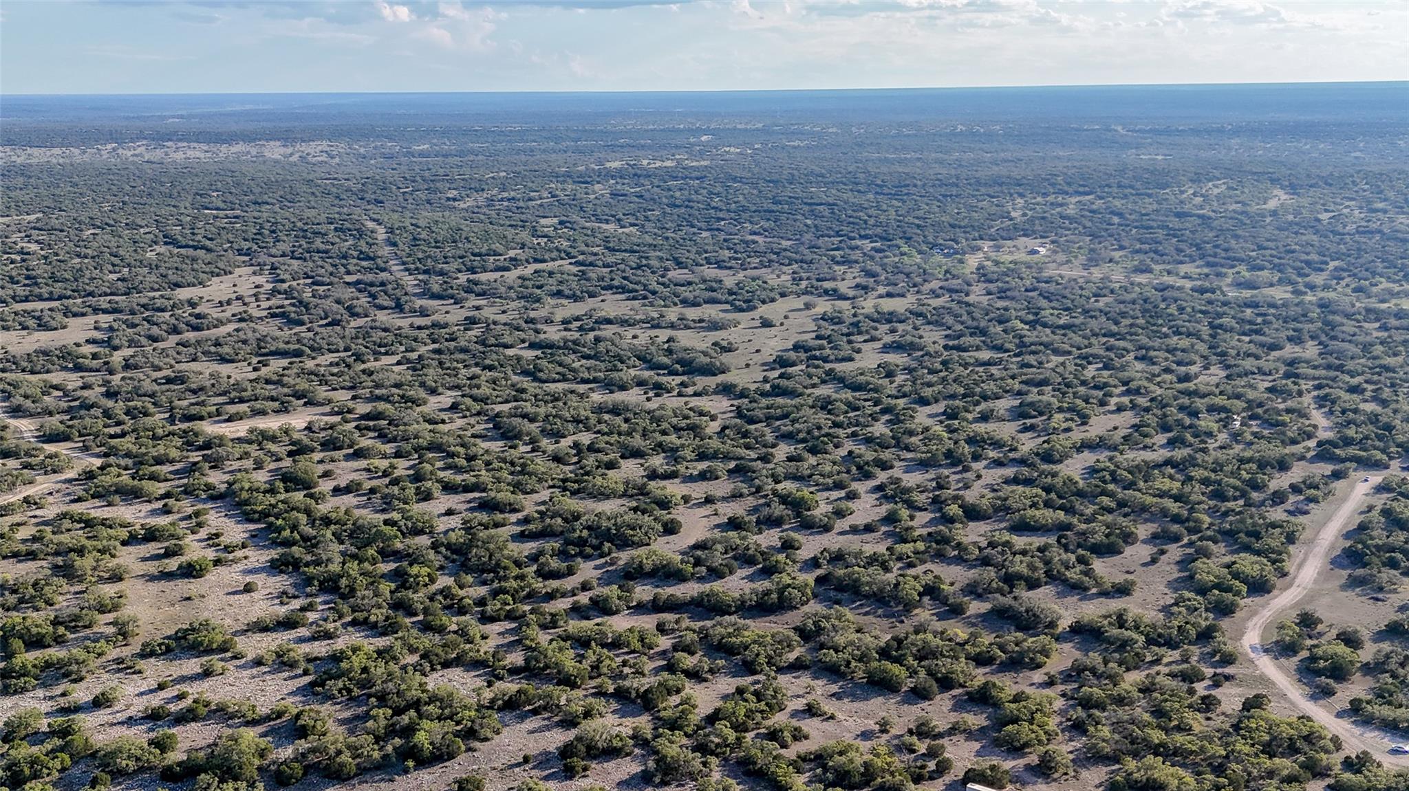 1595 Blackbuck Dr E, Eldorado, TX 76935