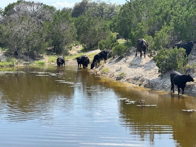 Lot 22 Rifle Ridge, Burnet, TX 78611