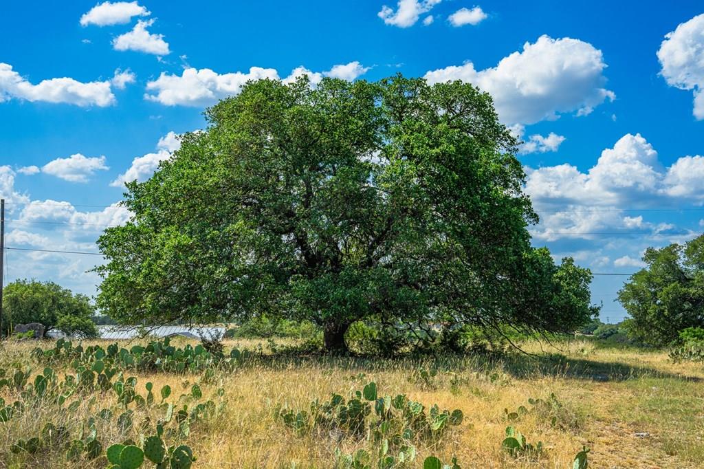 113 Indian Bluff Dr, Kerrville, TX 78028