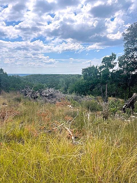 8307 Angus Trl, Lago Vista, TX 78645