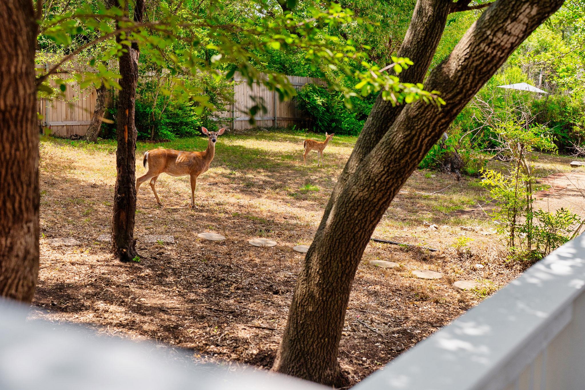 10905 Chateau Hl, Austin, TX 78750