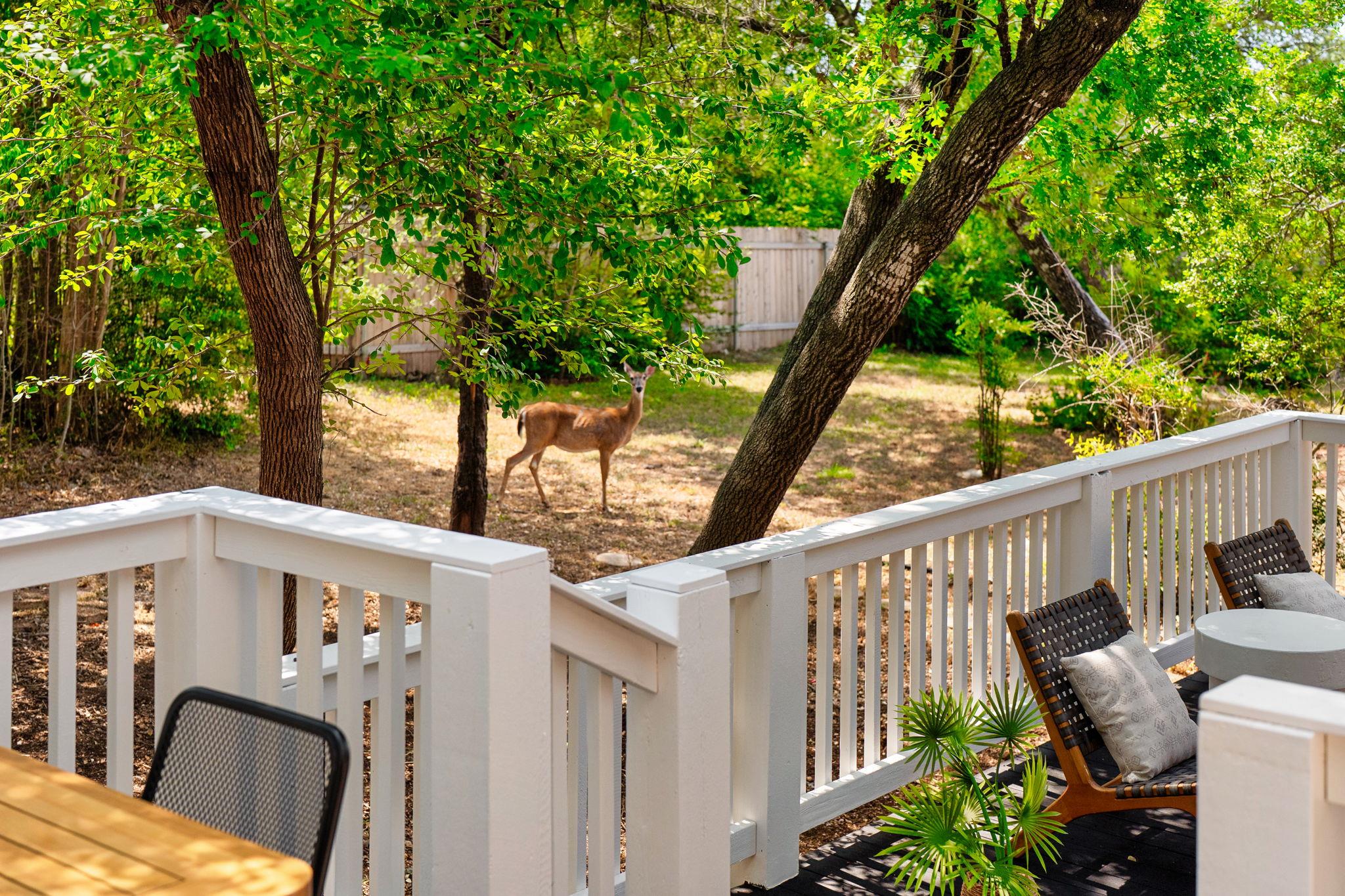 10905 Chateau Hl, Austin, TX 78750