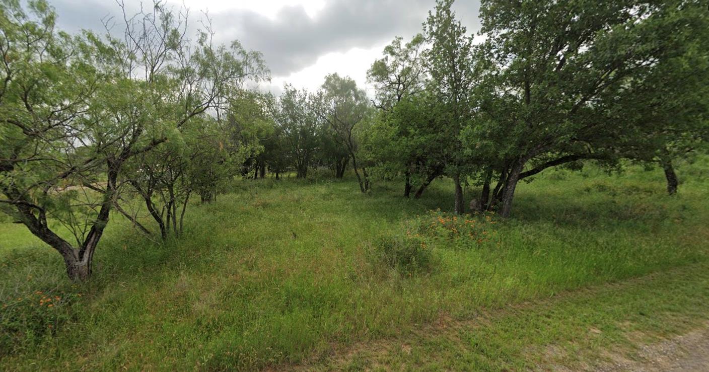Lot 538 Driftwood Ln, Cottonwood Shores, TX 78657