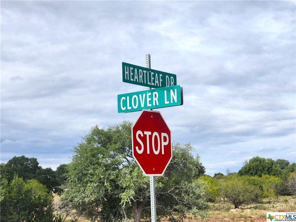 Lot 175 Heartleaf Drive, Lampasas, TX 76550