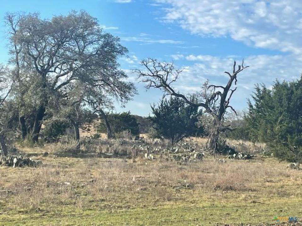 Lot 175 Heartleaf Drive, Lampasas, TX 76550