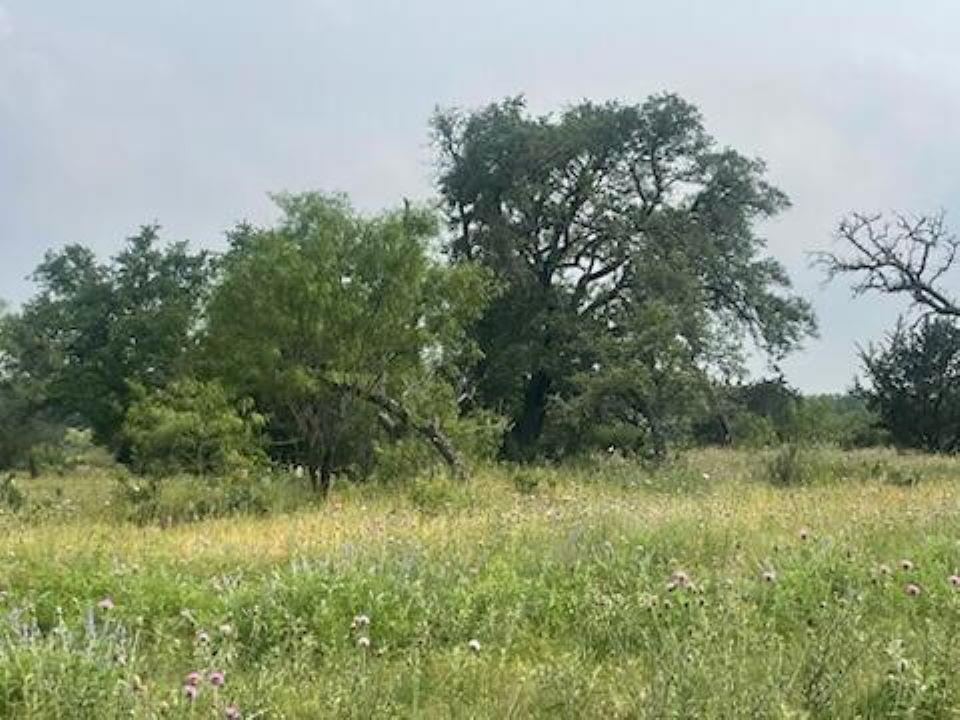 Lot 175 Heartleaf Drive, Lampasas, TX 76550
