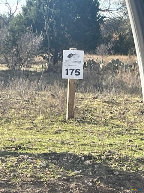 Lot 175 Heartleaf Drive, Lampasas, TX 76550