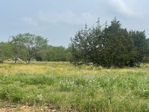 Lot 175 Heartleaf Drive, Lampasas, TX 76550