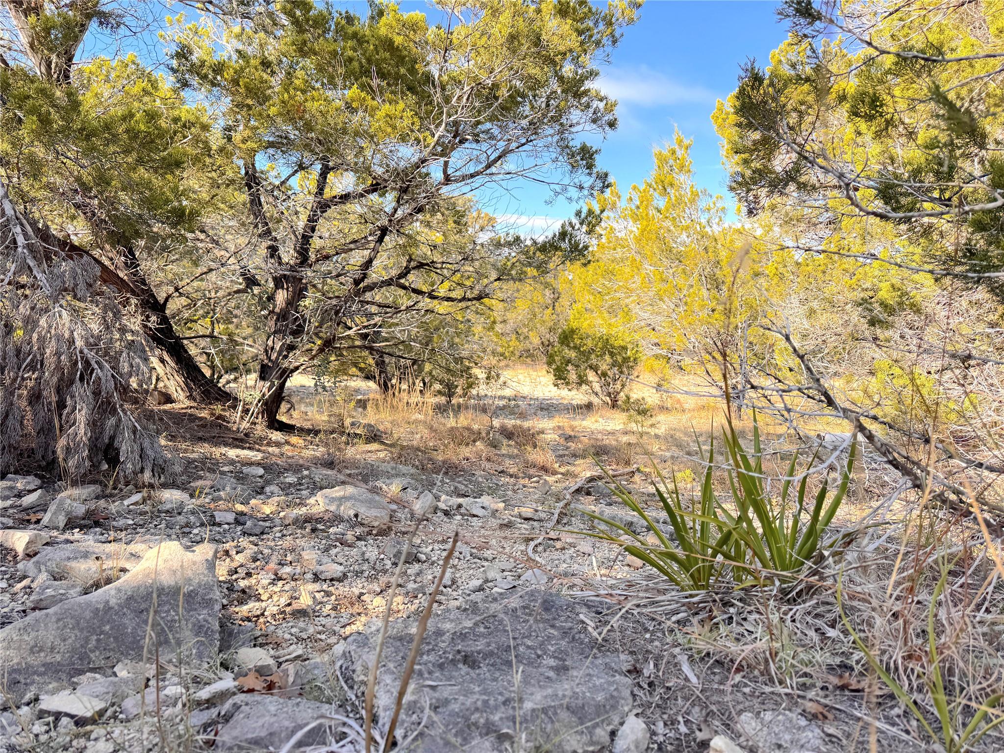 985 OBLATE DR Dr, Canyon Lake, TX 78133