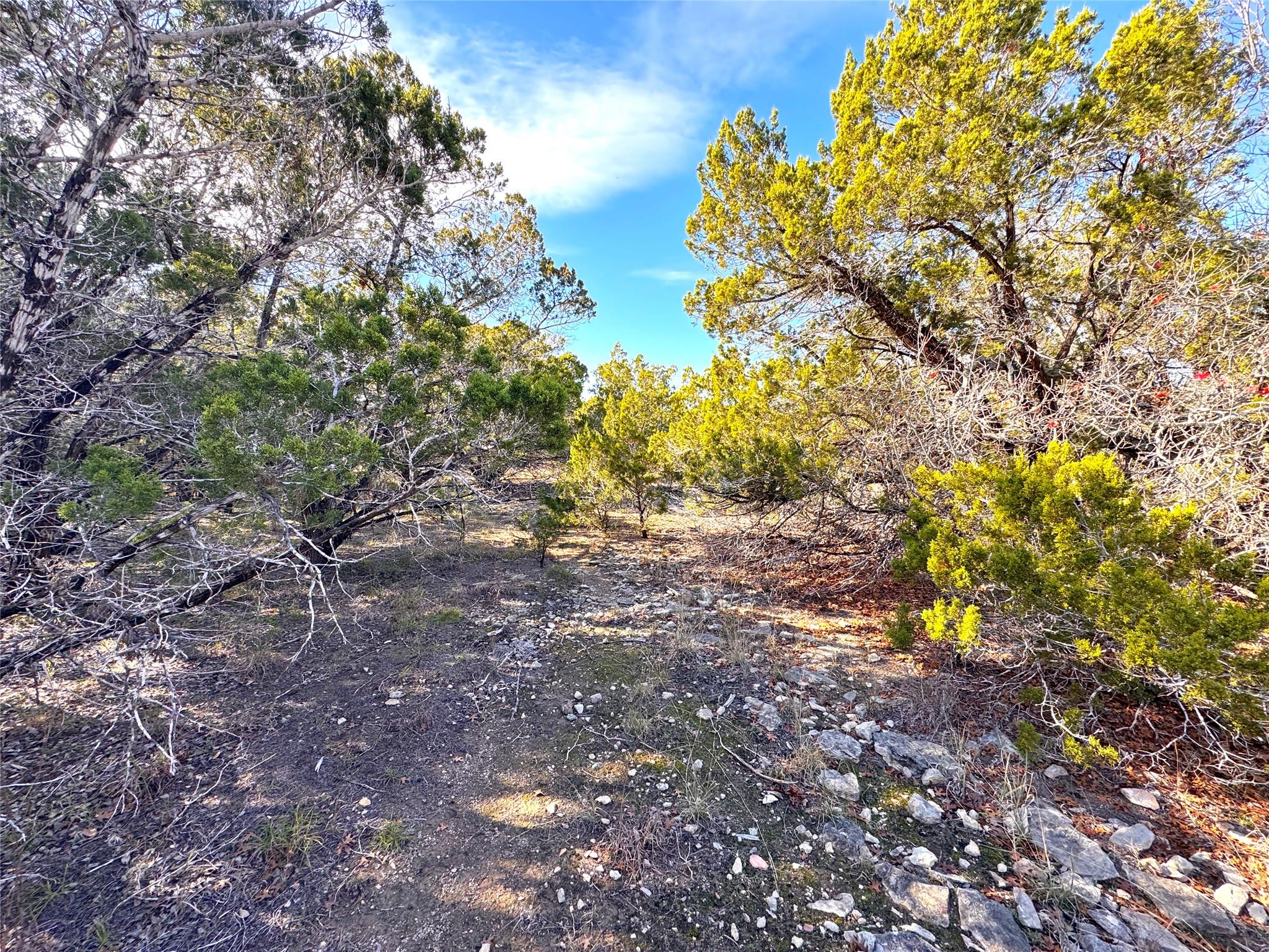 985 OBLATE DR Dr, Canyon Lake, TX 78133