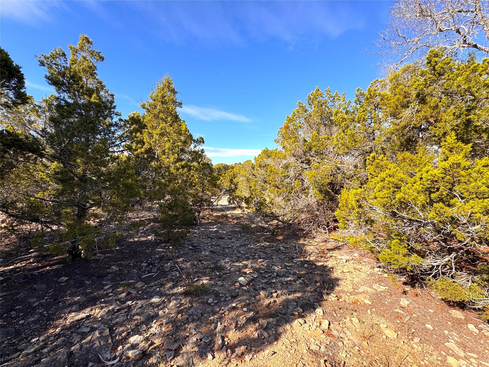 985 OBLATE DR Dr, Canyon Lake, TX 78133