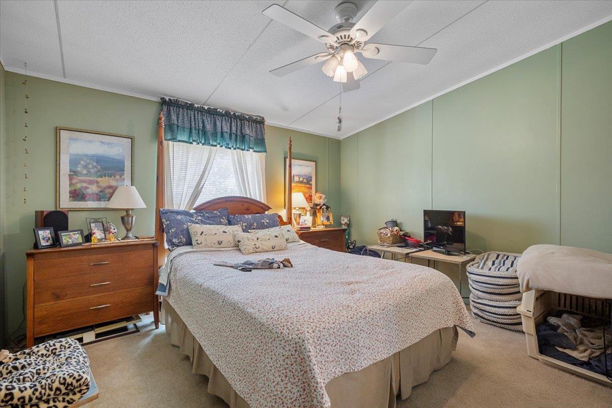 11401 Schmidt Ln, Manor, TX 78653