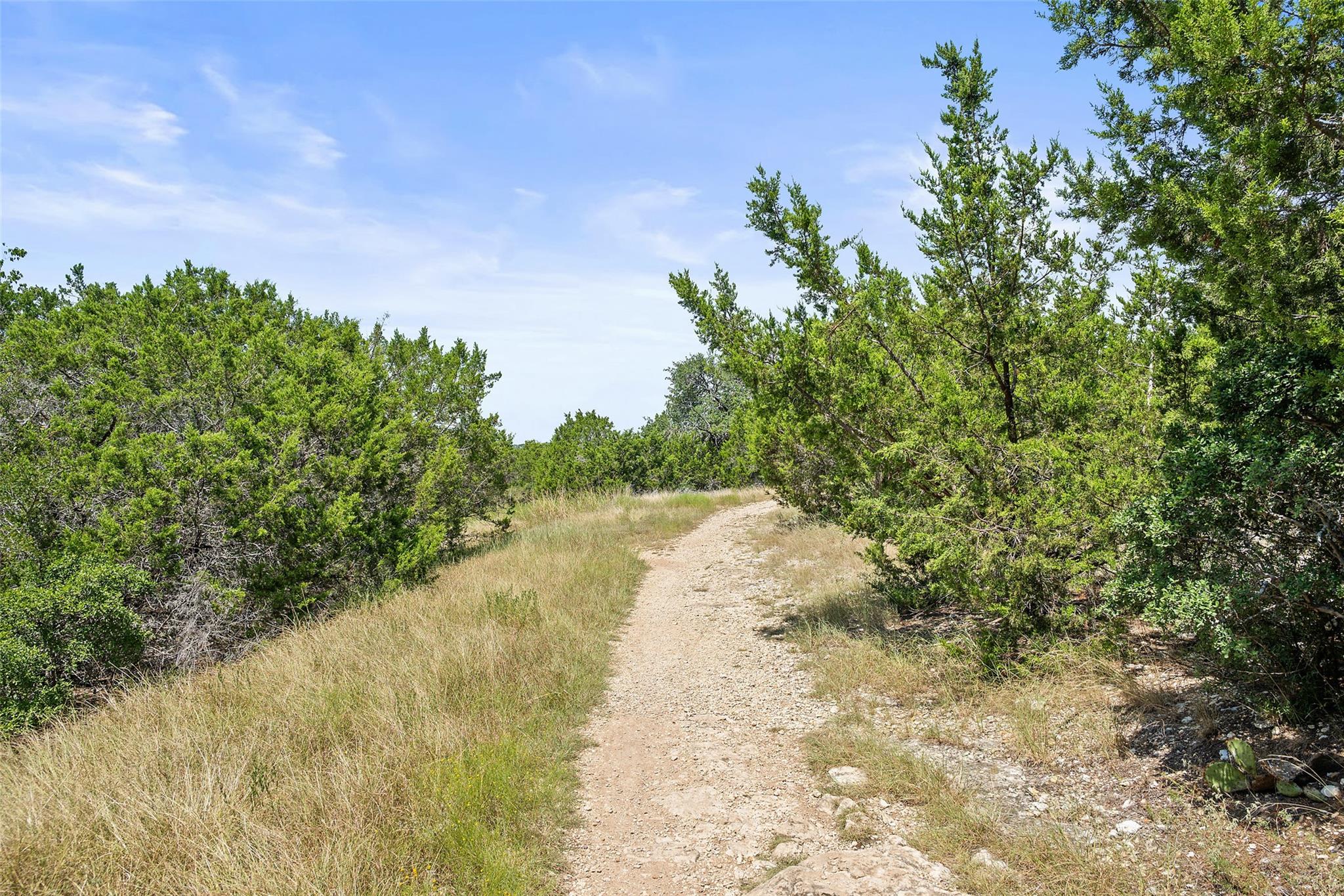 11410 Culzean Castle Dr, Austin, TX 78717