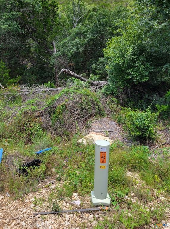 Lot 315 Private Road 1745 Rd, Mico, TX 78056