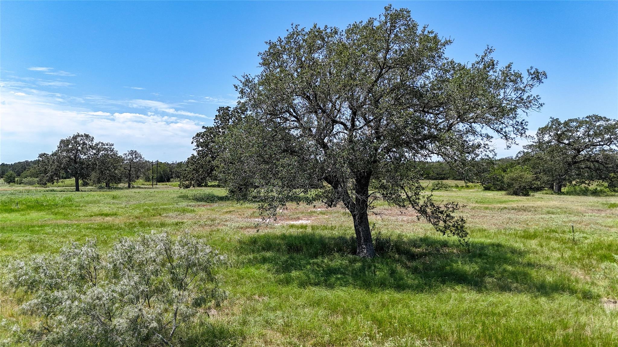Lot 5 Zack Ln, Smithville, TX 78957