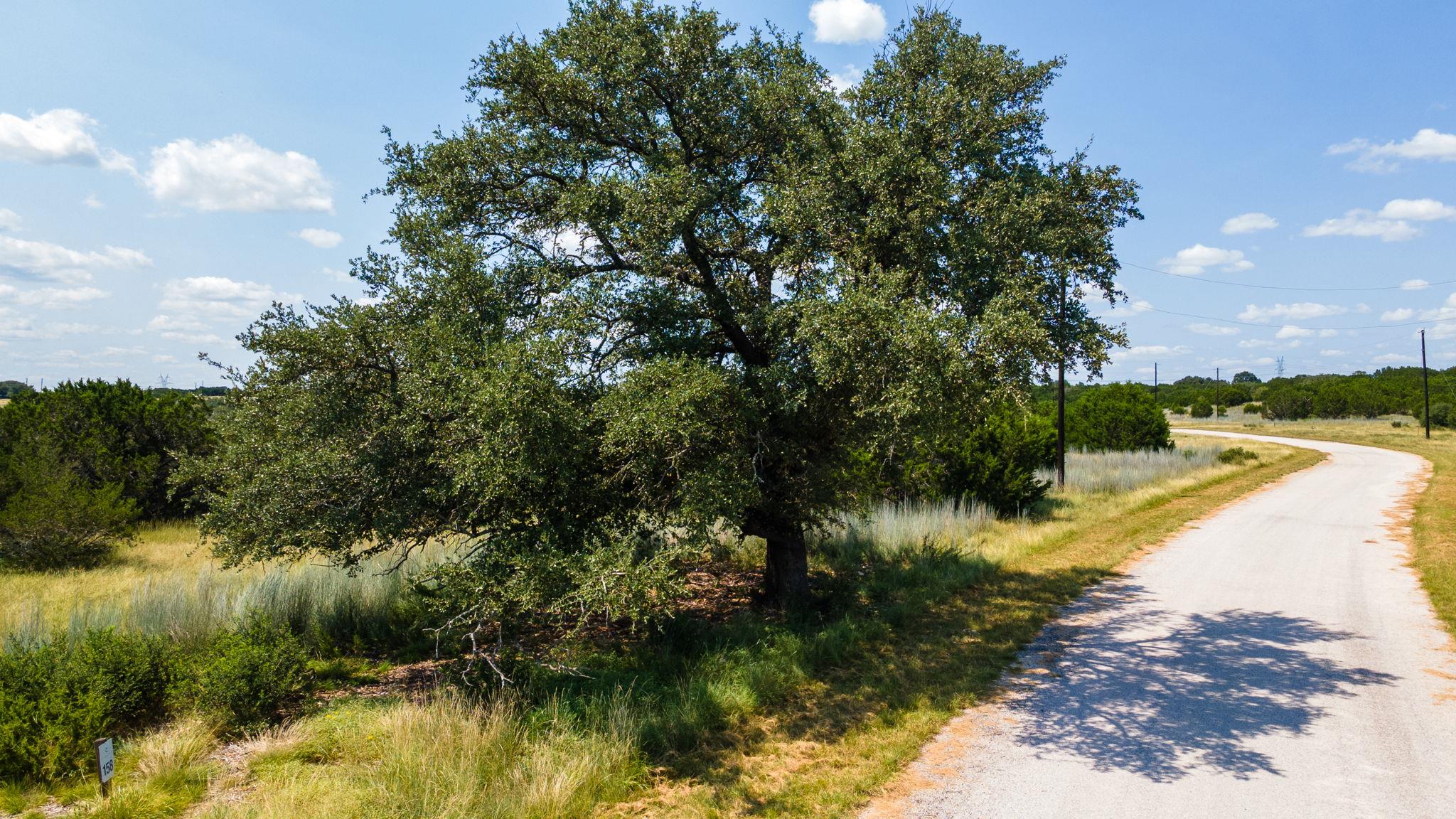 158 Hilandale Dr, Kempner, TX 76539