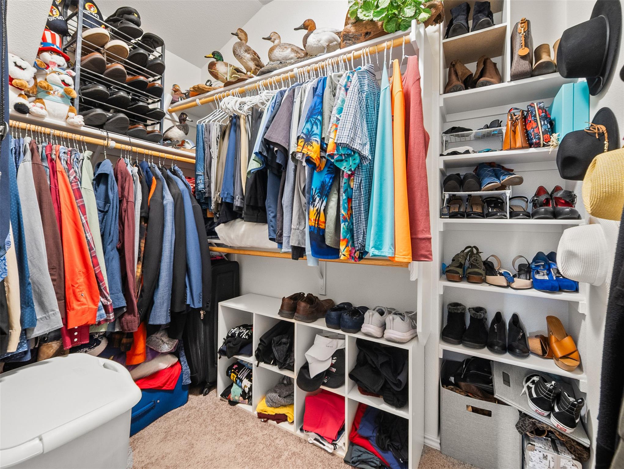 133 Alba Ave, San Marcos, TX 78666