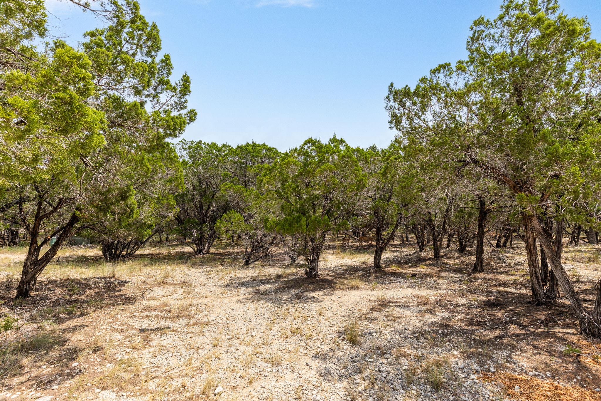 707 Moonlight Bay Dr, Spicewood, TX 78669