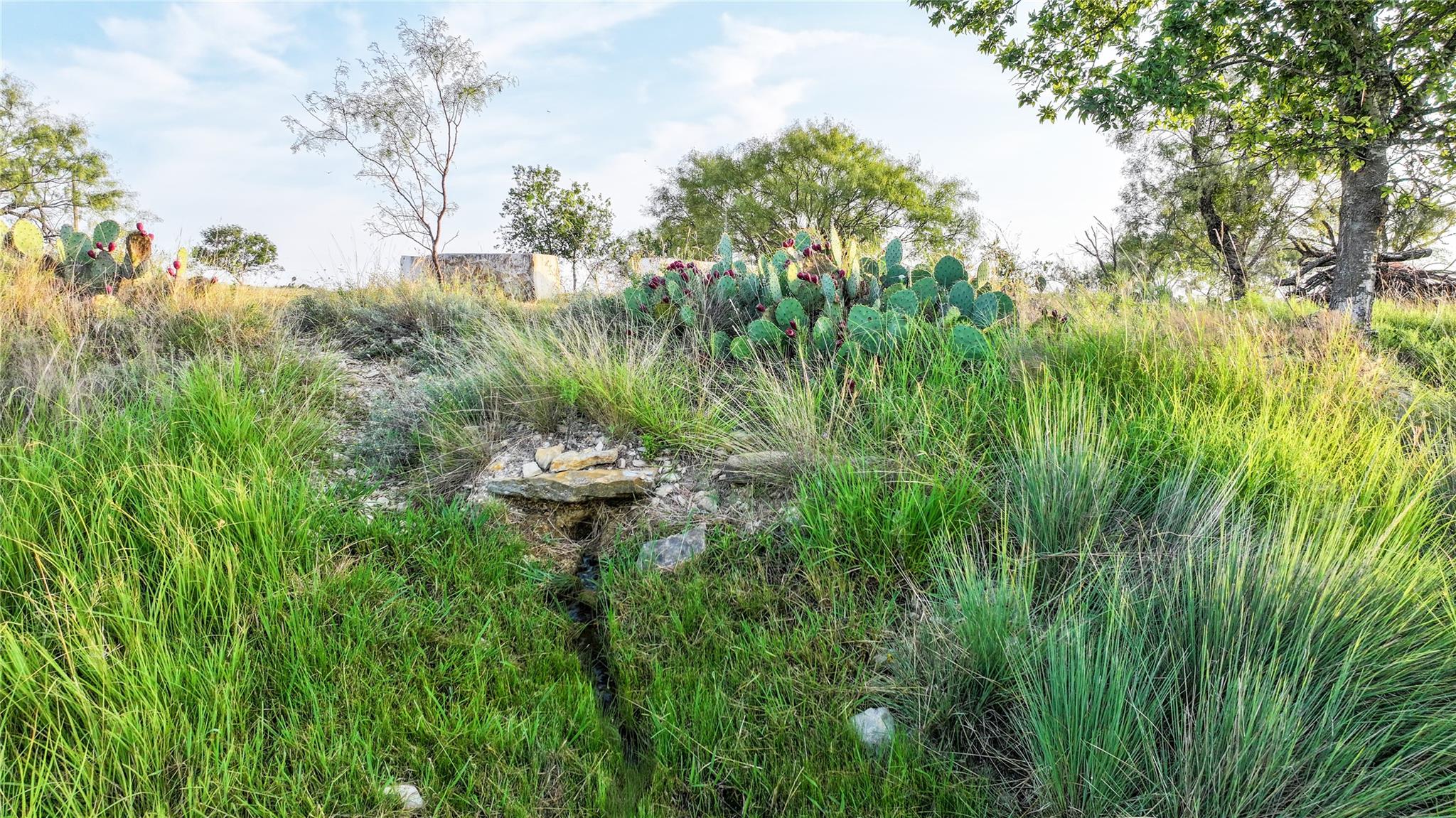 2562 County Road 2315, Lampasas, TX 76550